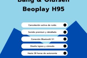 Bang Olufsen Beoplay H95
